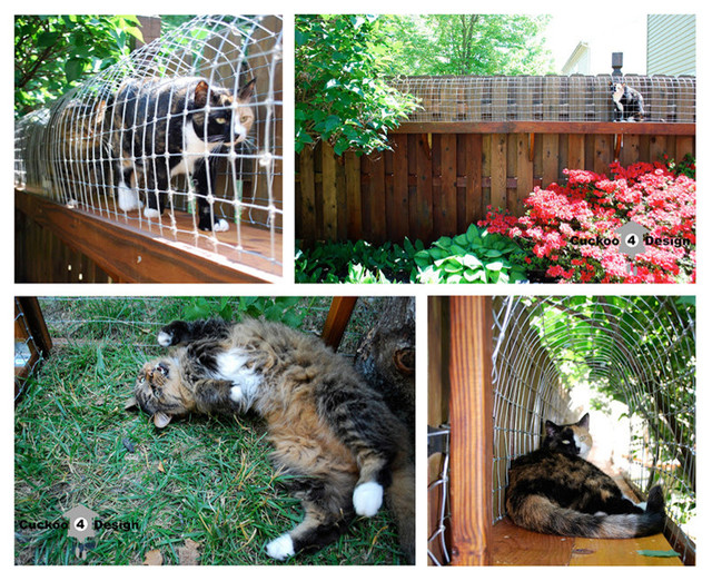 Reader Pet Projects 