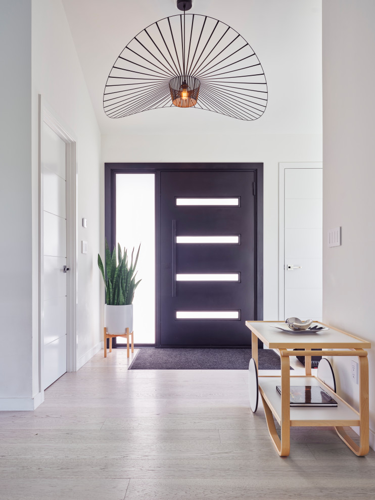 This is an example of a mid-sized scandinavian front door in San Francisco with white walls, light hardwood floors, a single front door and a black front door.