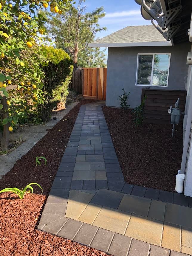 Front Yard- Driveway