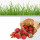 clipping path service