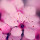webuser_890982623