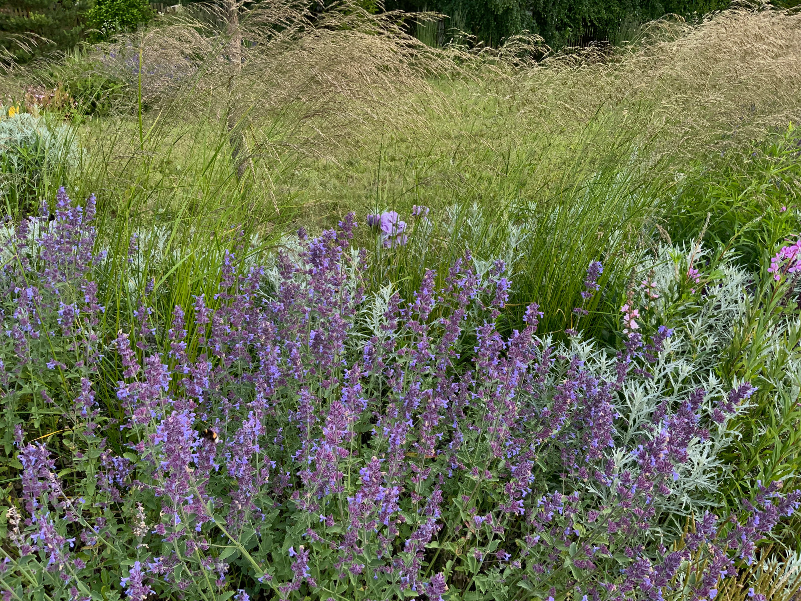 Проект "Волга"