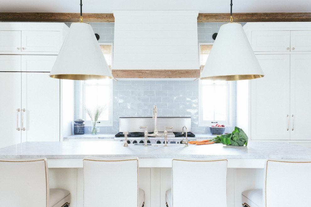 Kitchen - transitional kitchen idea in Chicago