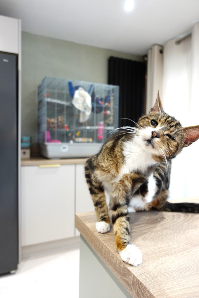 The Barwell Kitchen II - Sodermalm - RRP £20,000 - Luxe Price £17,900