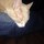 scott_yolman