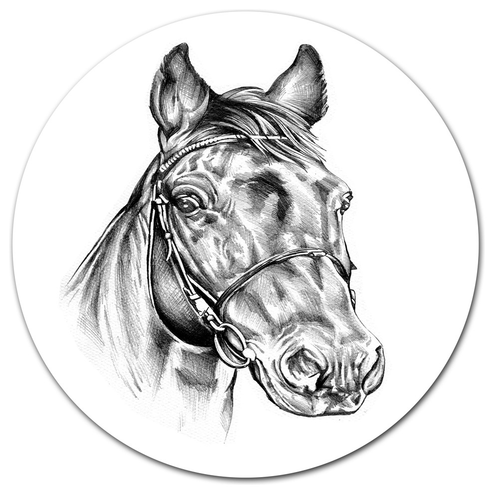 Freehand Horse Head Pencil Drawing, Modern Animal Round Wall Art -  Contemporary - Metal Wall Art - by Designart Inc | Houzz
