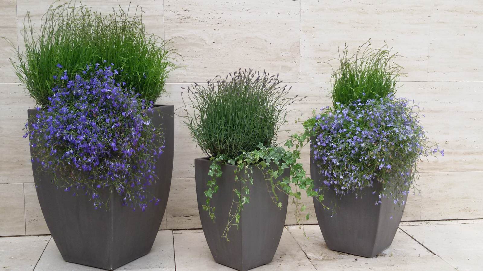 Контейнерное уличное озеленение