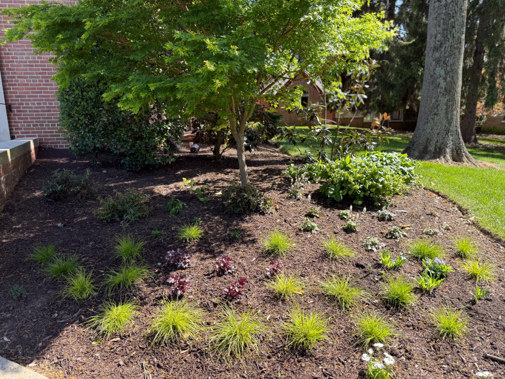 Native plants