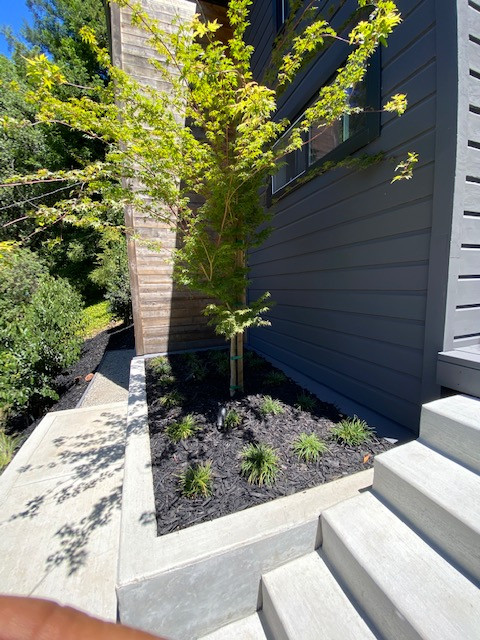 Balaraman Residence - Montclair, Oakland Hills