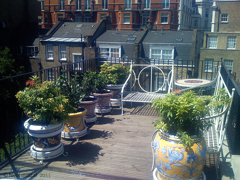 Modelo de terraza in azotea With revestimiento de madera and jardín de macetas