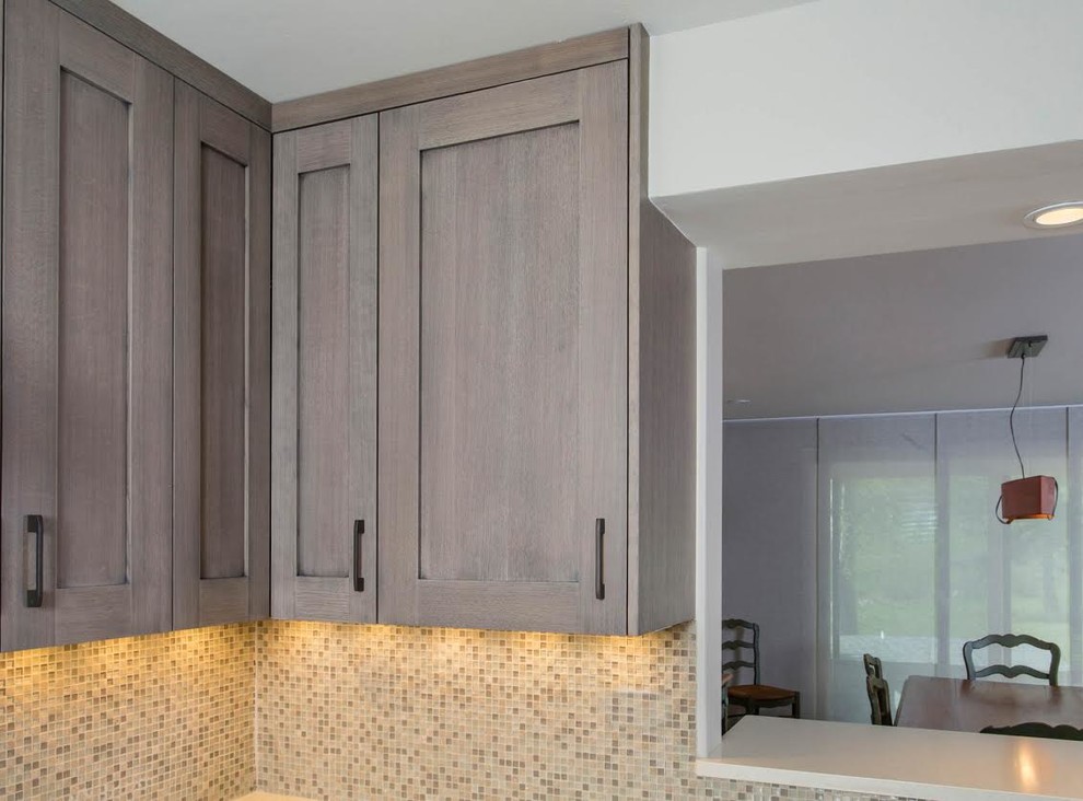 Transitional home design photo in Denver