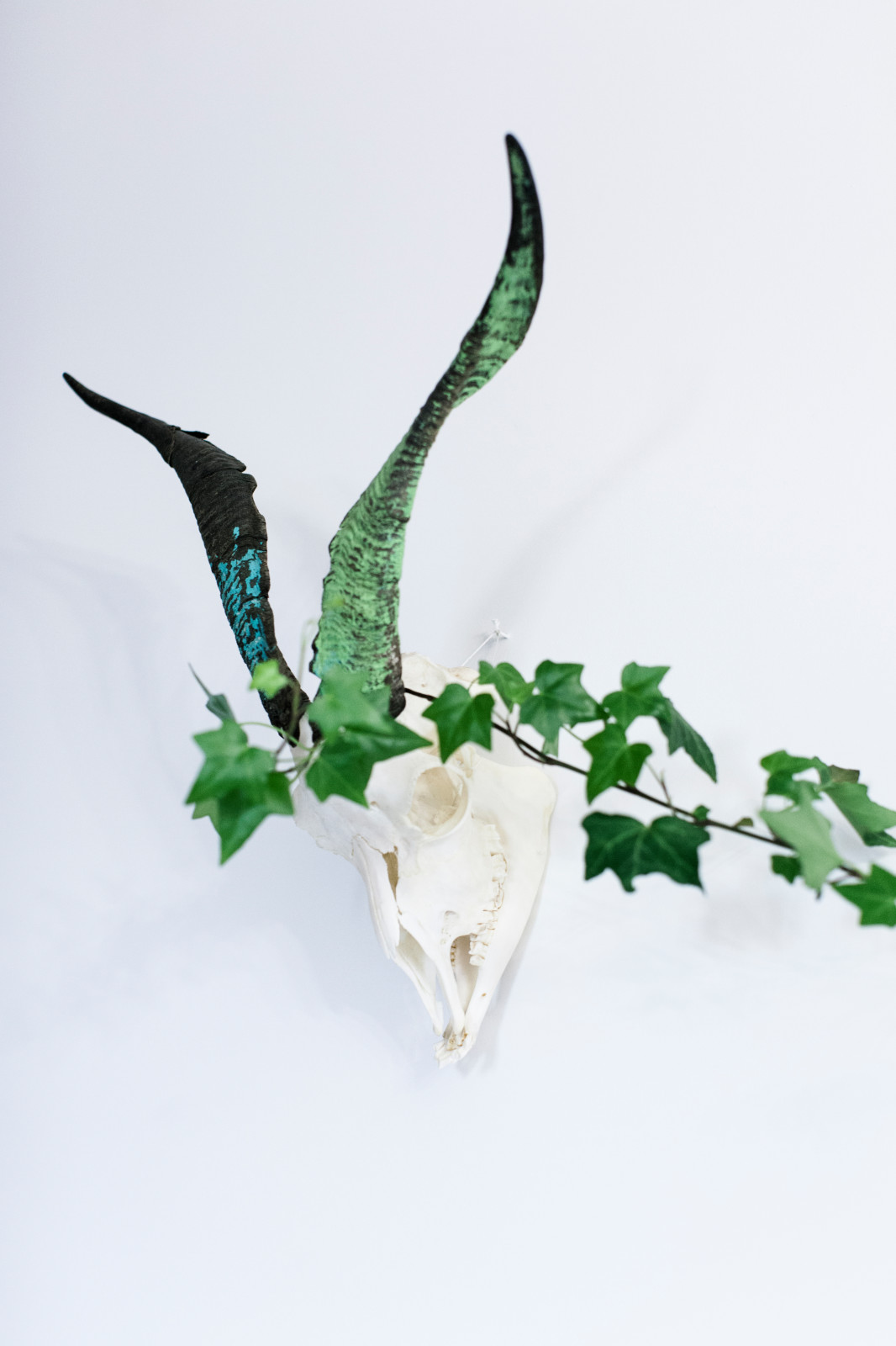 Марина/П/Путилковское