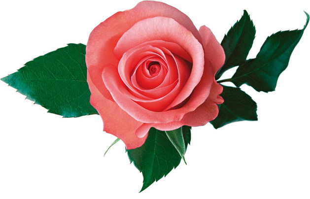 Фотопечать на потолках