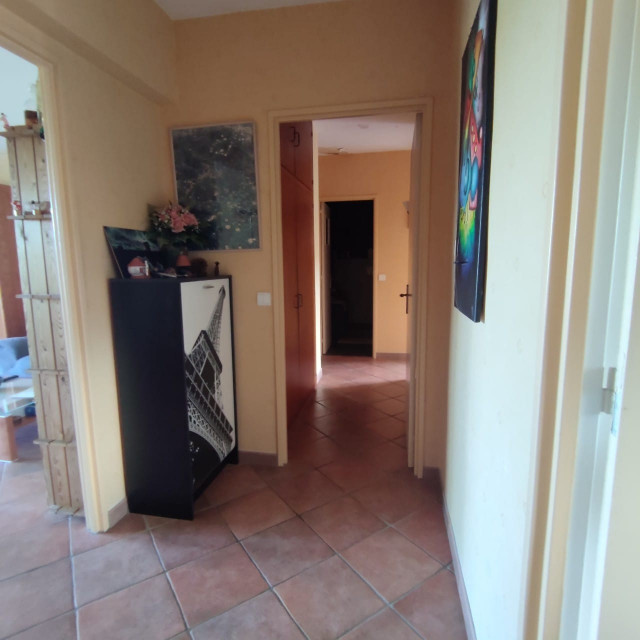R&eacute;novation d'une entr&eacute;e et d'un salon 