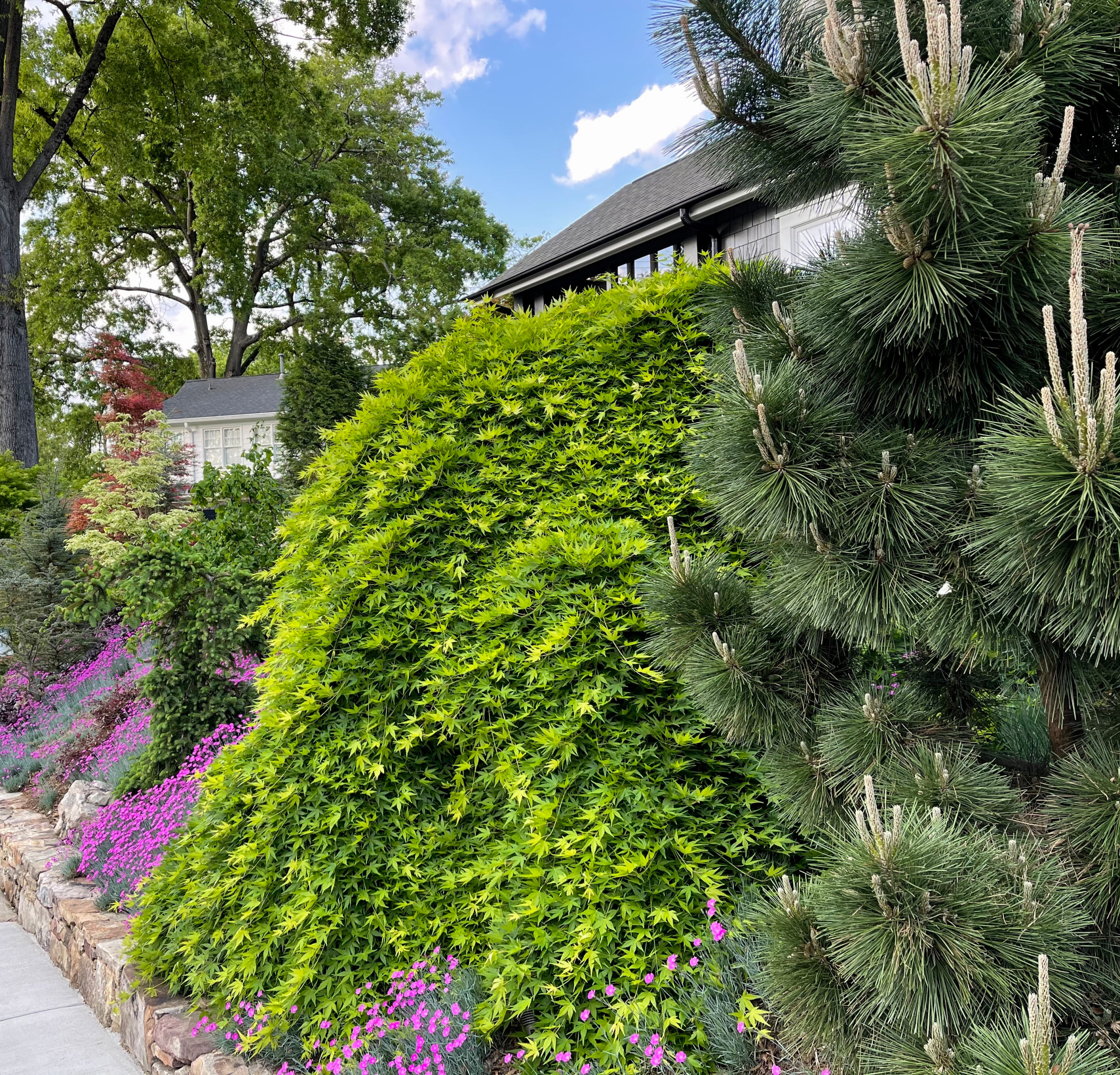 Gardening on a slope.