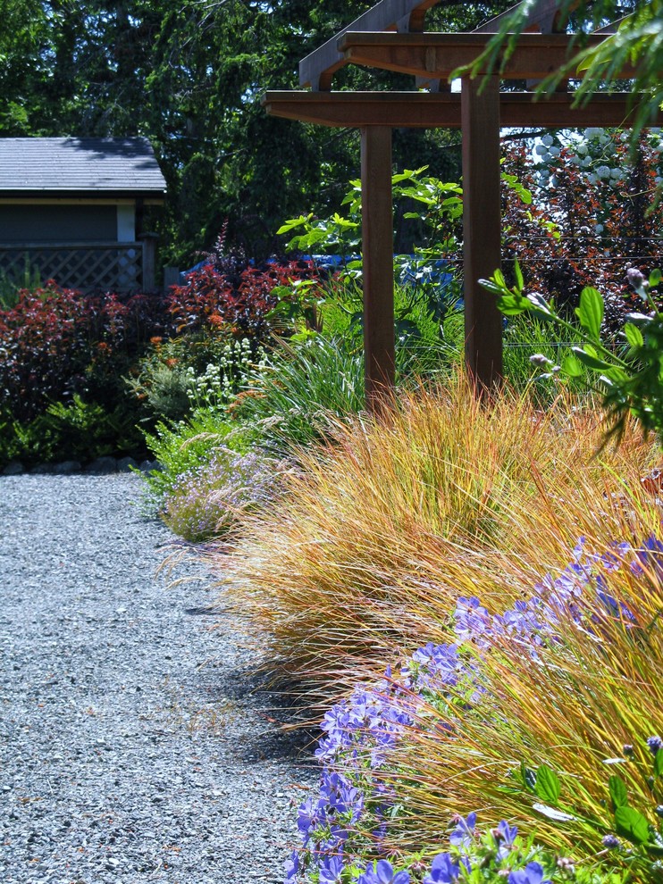 This is an example of a large beach style backyard full sun xeriscape in Vancouver with gravel.