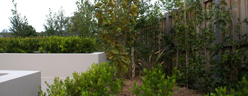 Photo of a small modern front yard partial sun formal garden for fall in Sydney with a garden path and brick pavers.