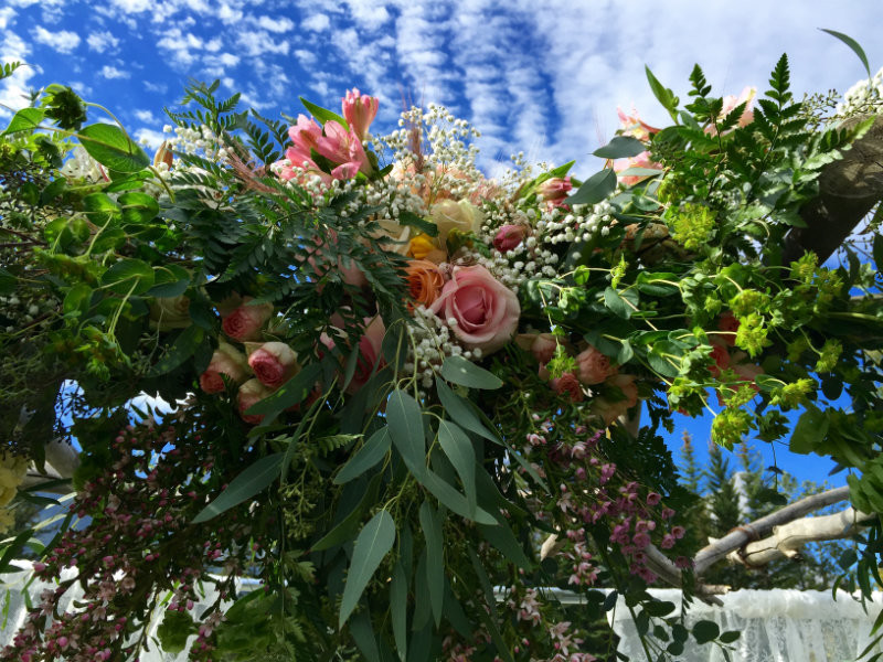 Wedding Designs
