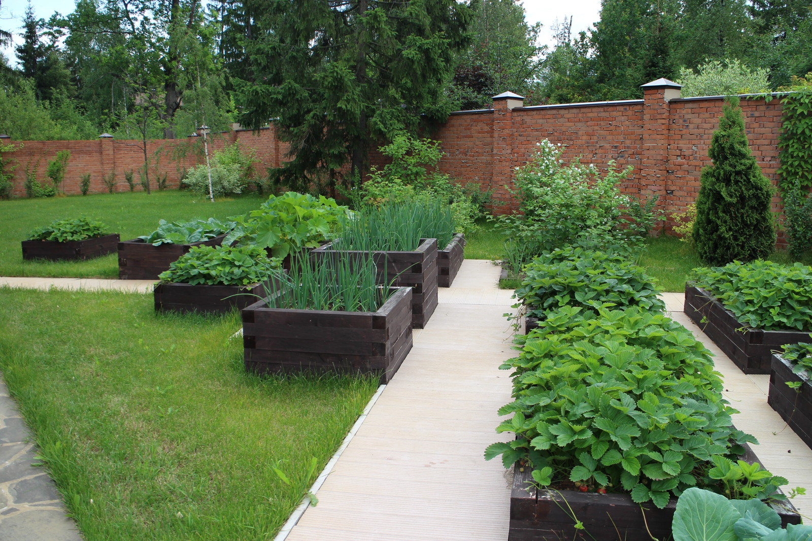 посёлок Сосны