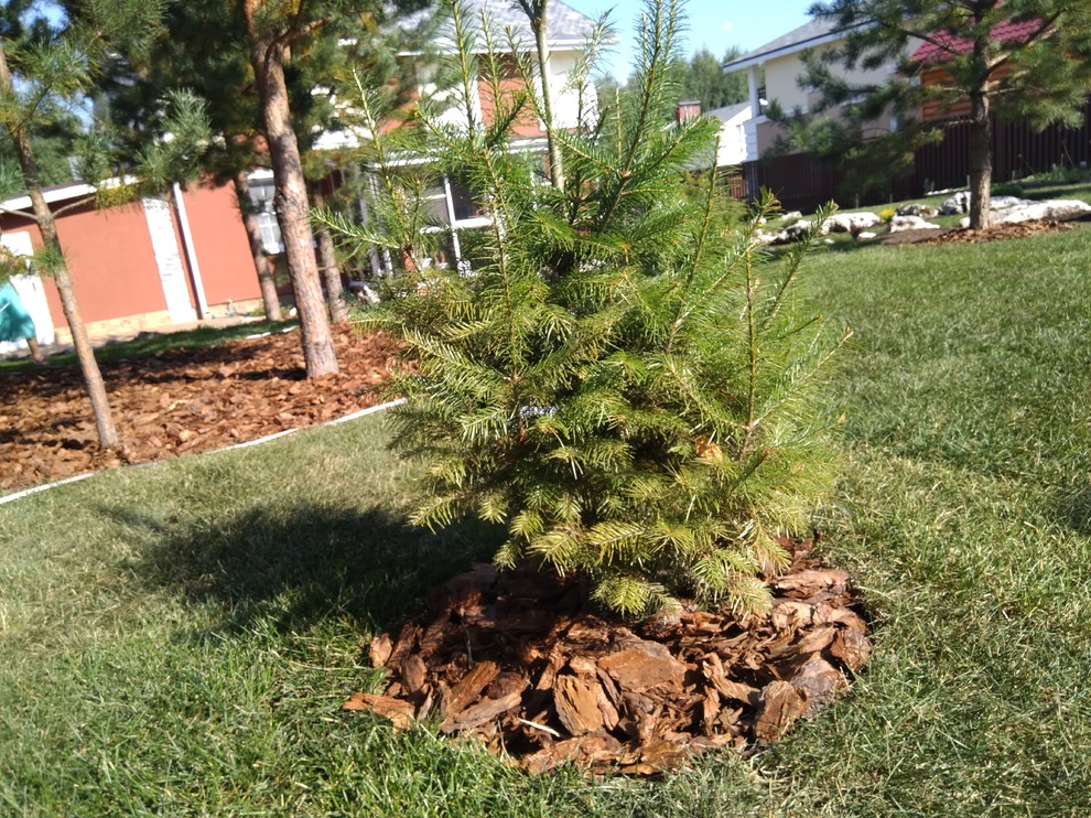 Ландшафтный дизайн в коттеджном поселке под Ижевском