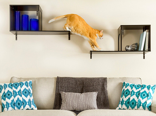 5 Creative Catwalk Shelf Designs The Money Pit