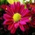 cathy_lynn3256816