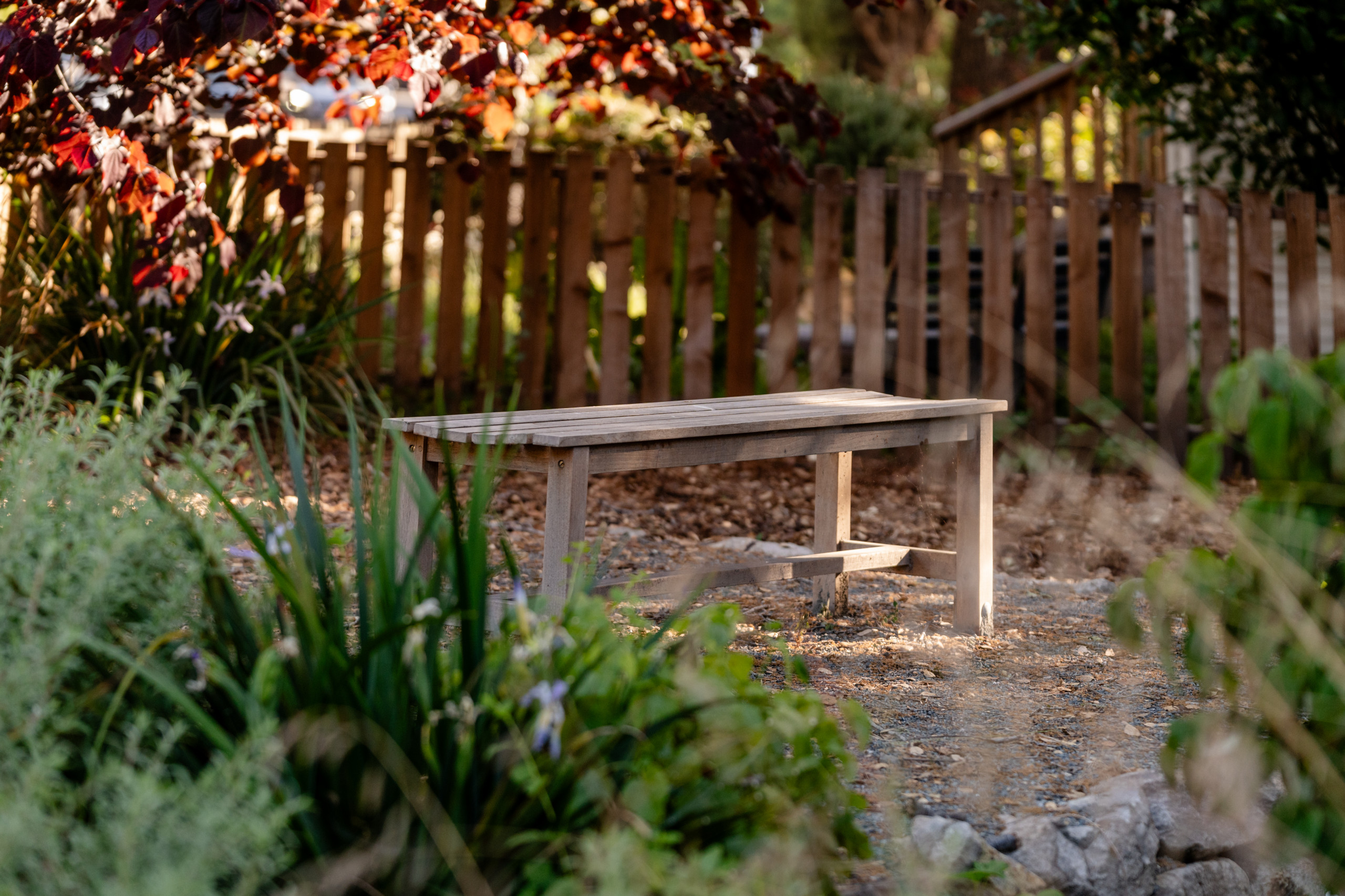 Creekside Restoration: Peaceful Seating Overlooking the Creek