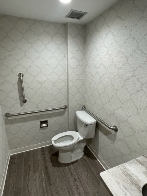 New Handicap Bathroom Railings With New Sink