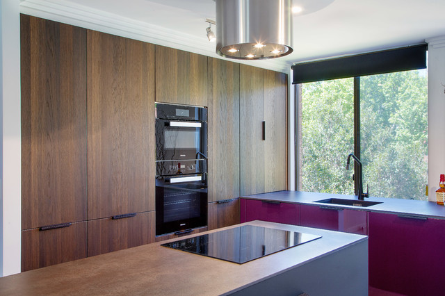 Potts Point Kitchen Design trendy-koekken
