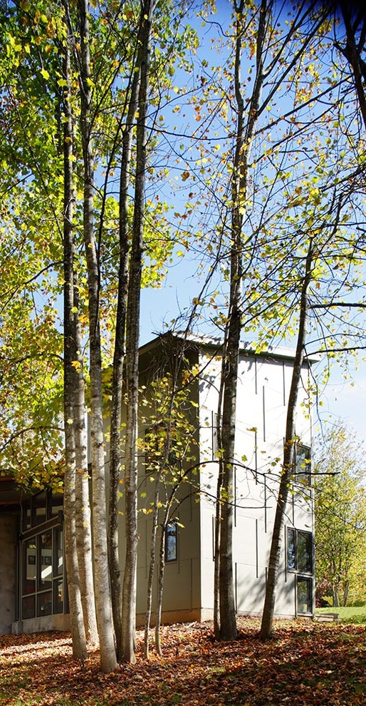 Trendy exterior home photo in Richmond