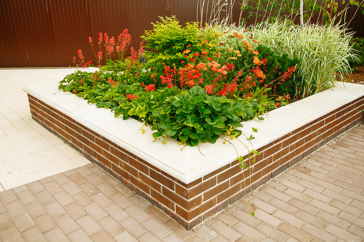 Времена года в саду "Красный октябрь"