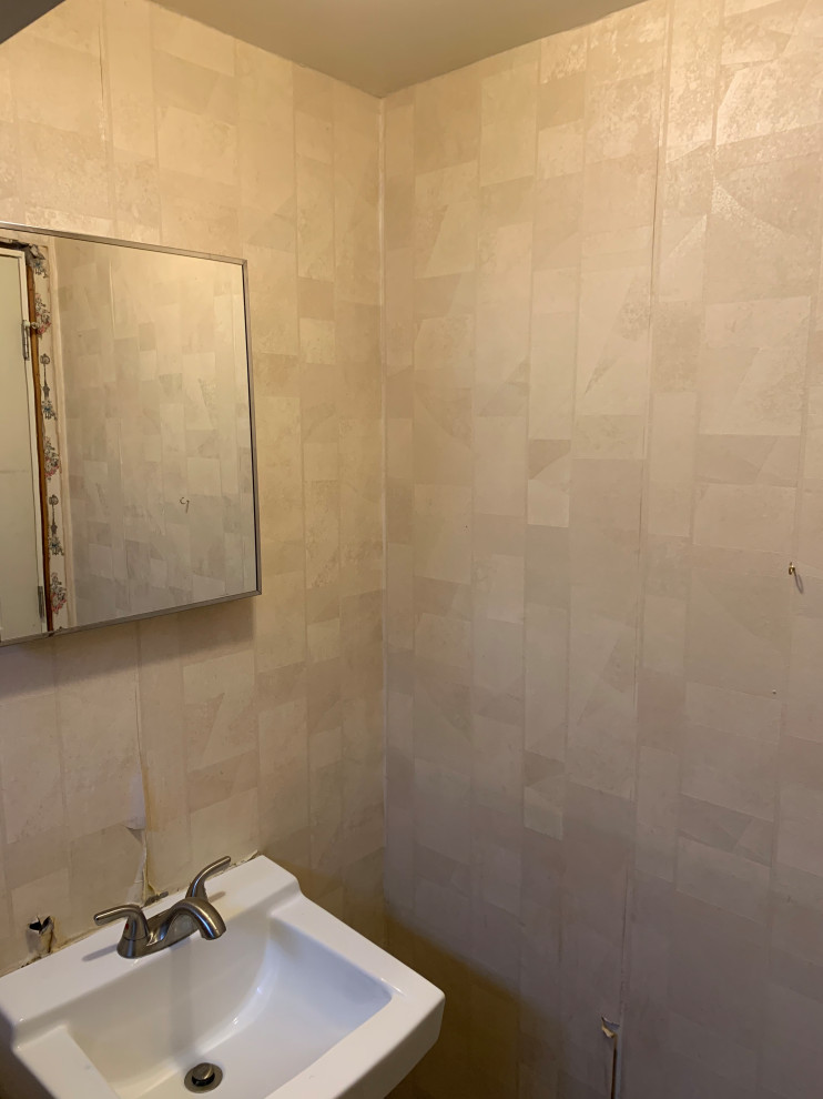 Bustleton Basement Bathroom Remodel