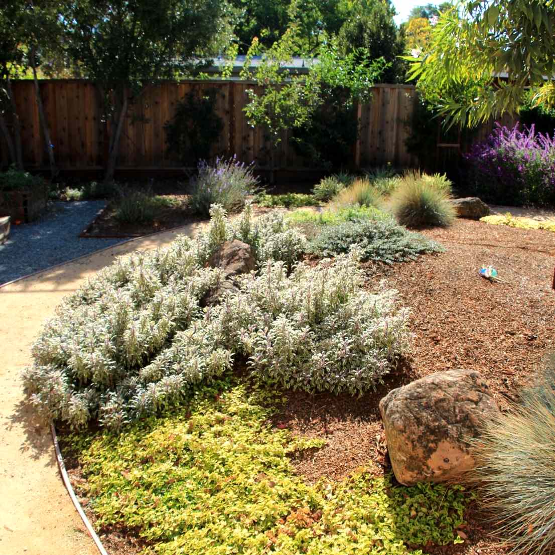 Vivide colors garden