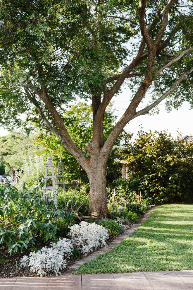 Foto di un piccolo giardino xeriscape american style esposto a mezz'ombra davanti casa in primavera con un ingresso o sentiero, pavimentazioni in mattoni e recinzione in legno