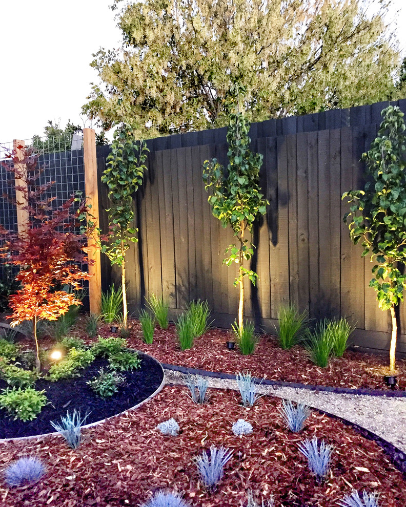 Design ideas for a large and australian native contemporary backyard full sun xeriscape for summer with a vertical garden and mulch.