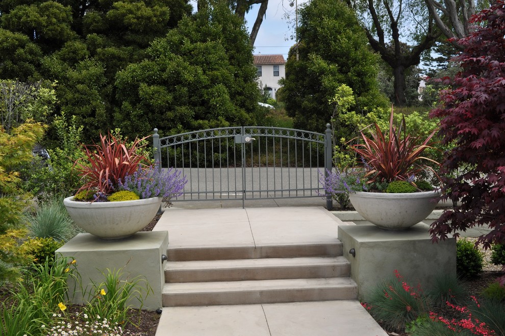 This is an example of a contemporary front yard garden in San Francisco with a container garden.