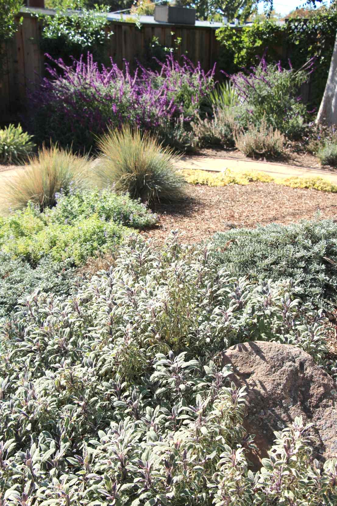 Vivide colors garden