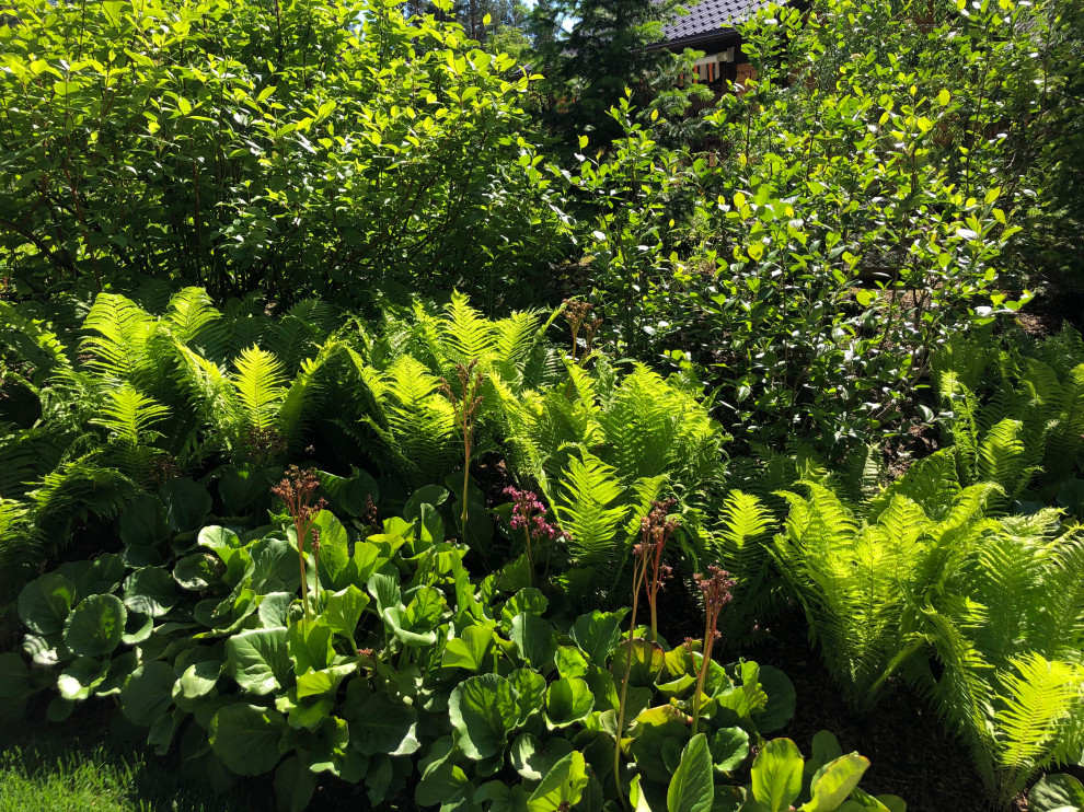 Усадьба на краю леса