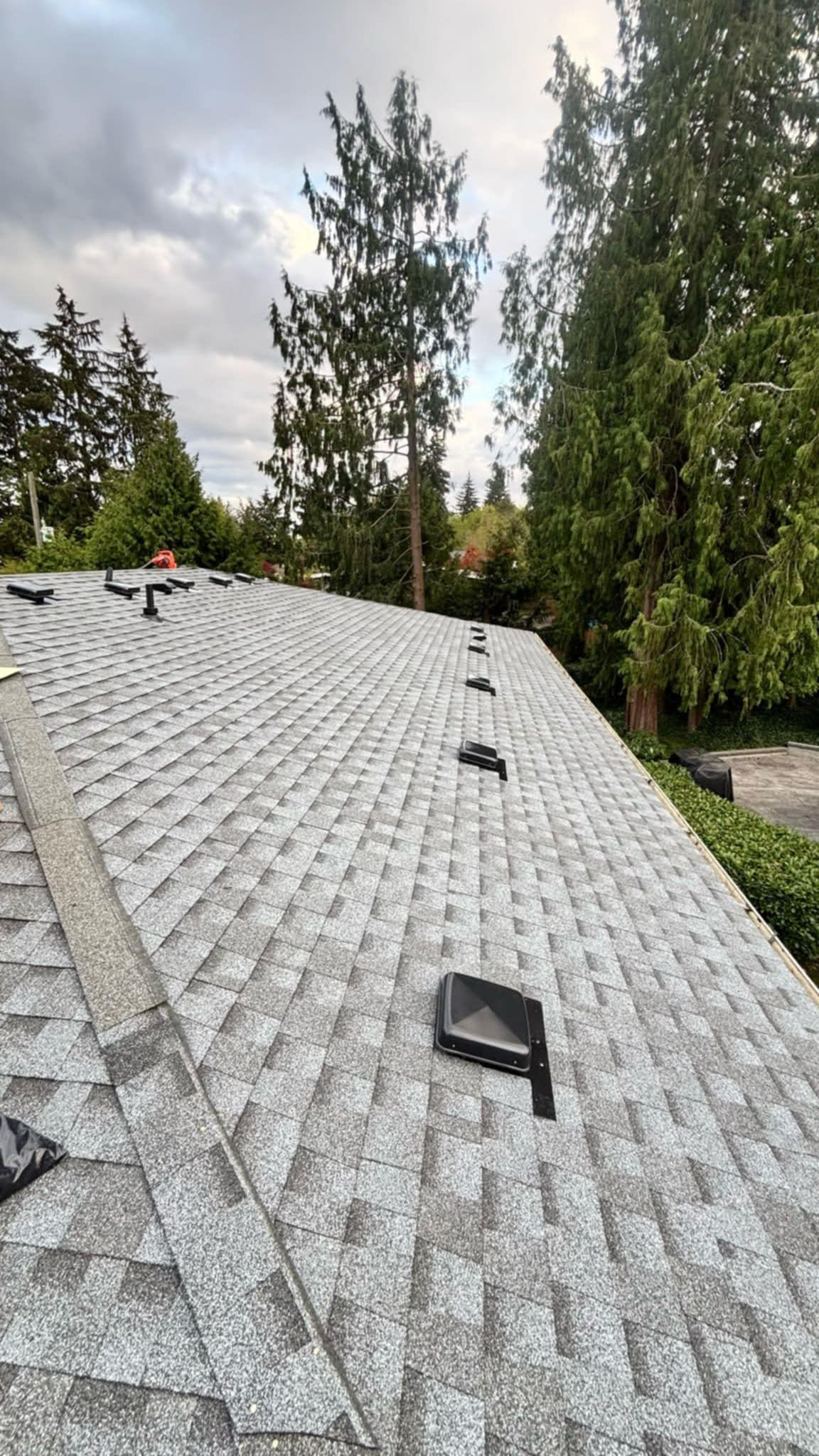 Roof Replacement
