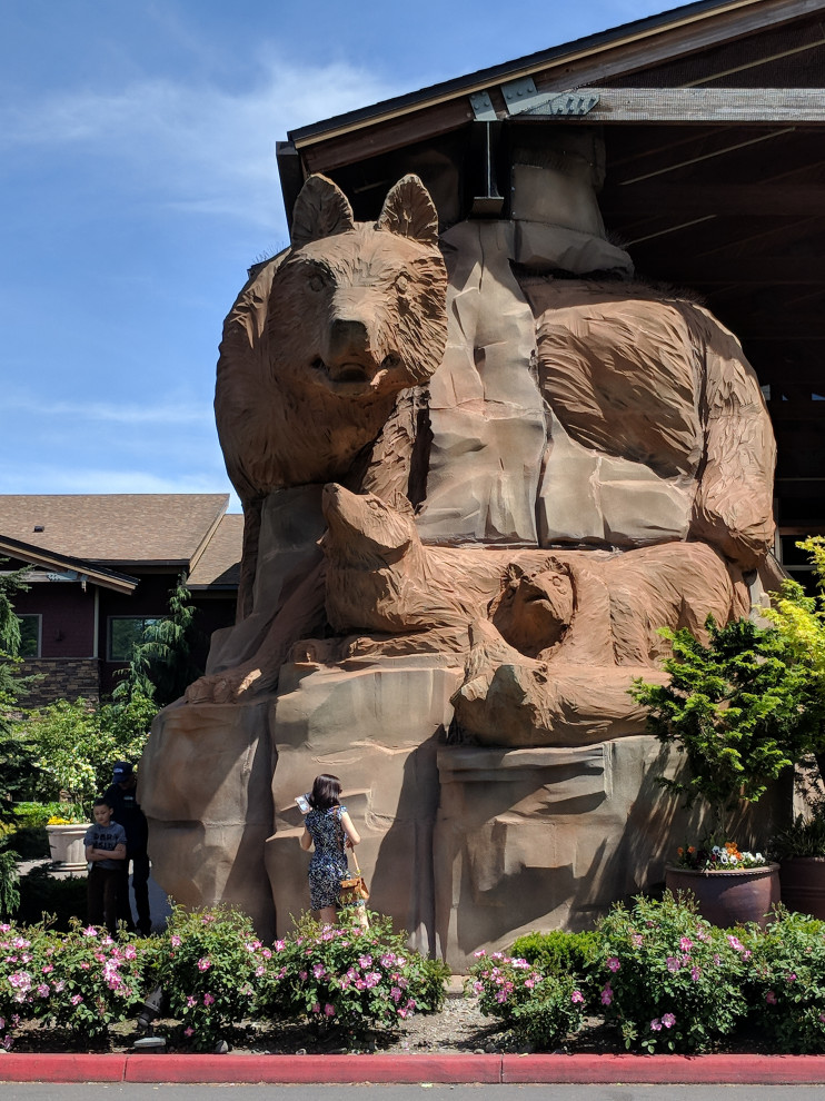 Great wolf lodge - Grand Mound Washington