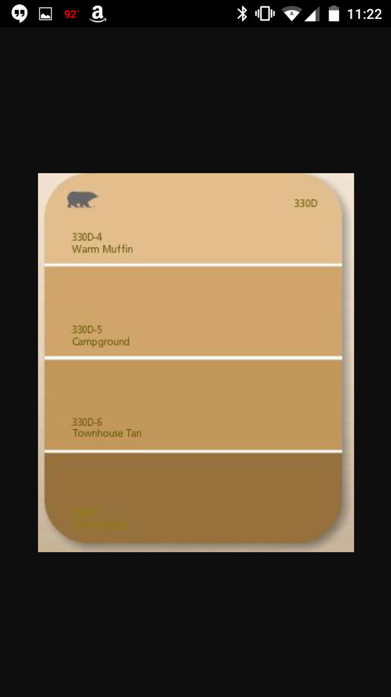 Color for dark accent wall