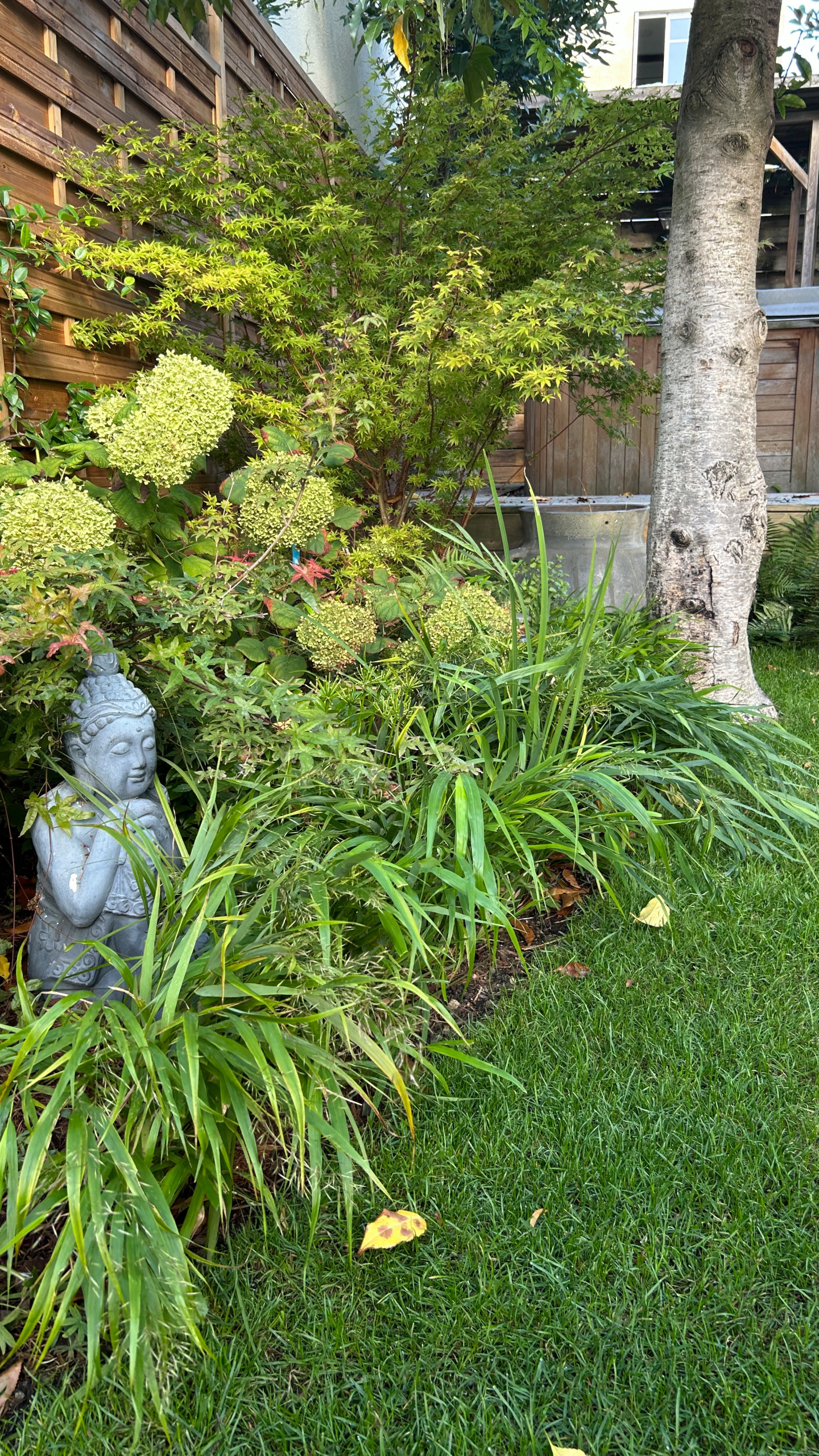 Jardin en Pots : Un Écrin de Nature