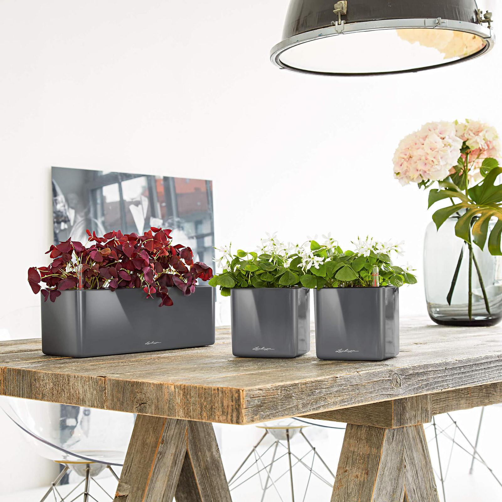 Тенденции интерьеров