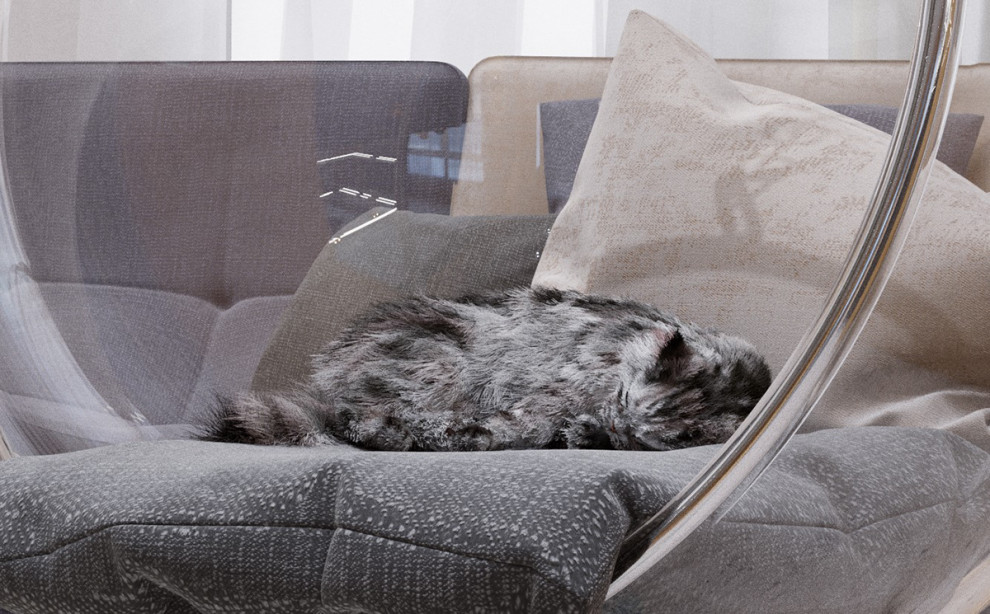 House in Siargi | Living room | Dining room