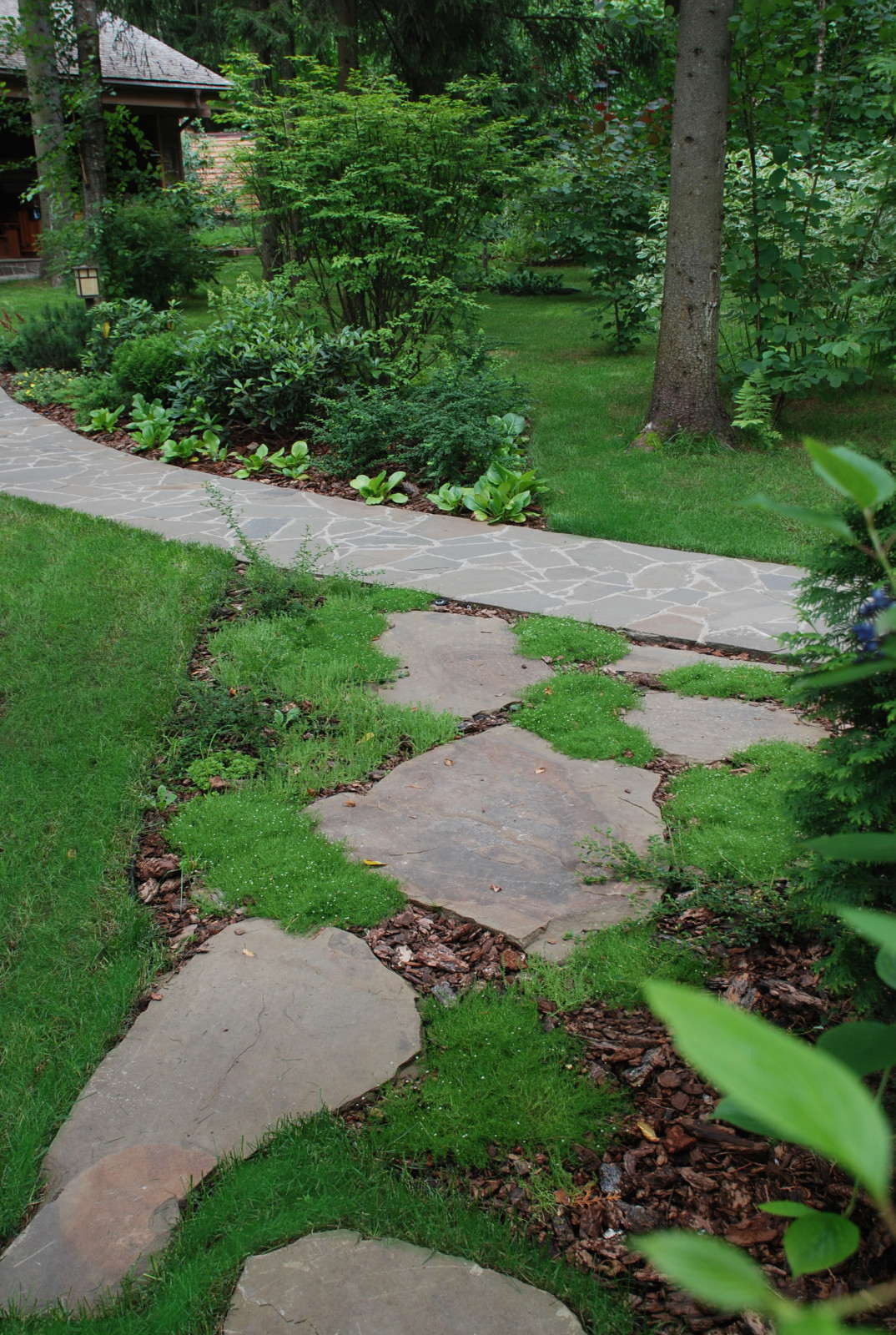 Лесной участок в КП "РИИТА"