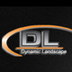 Dynamic Landscape