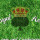 Royal Ace Lawn & Landscaping, LLC