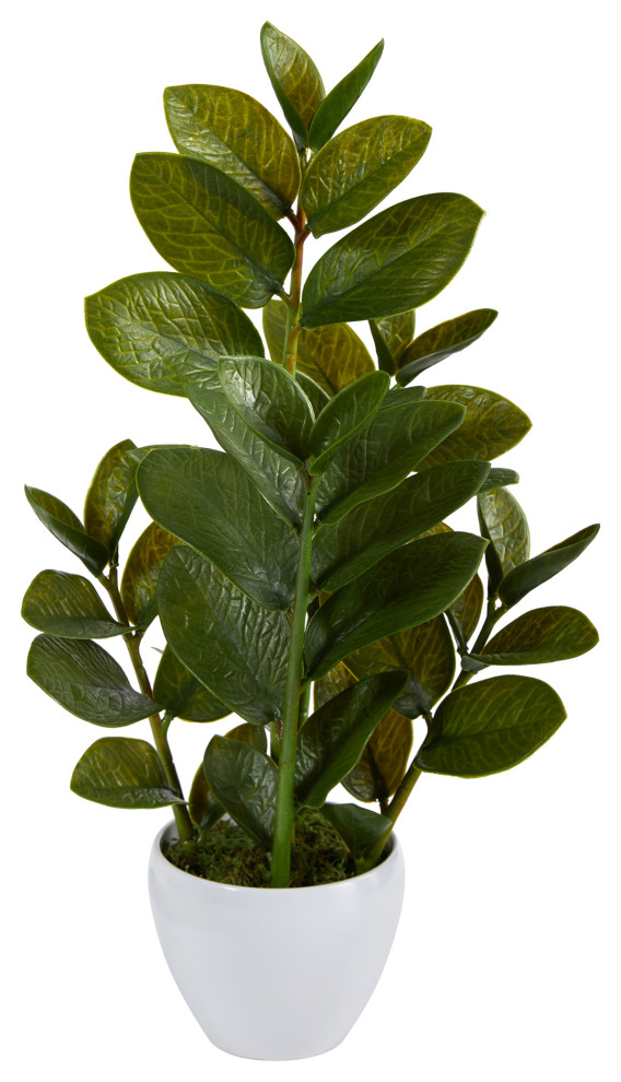 22" Zamioculcas Artificial Plant, White Planter Modern Artificial Plants And Trees by