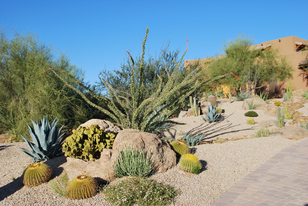 Photo of a large front yard full sun xeriscape in Phoenix with concrete pavers.
