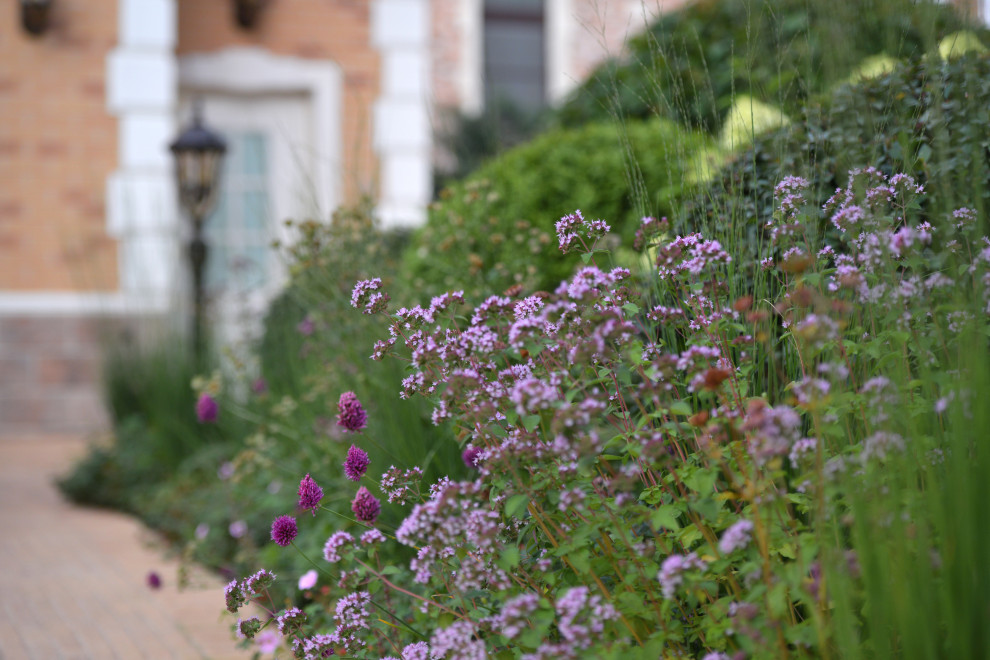 Fairy Garden.Сад под дубами
